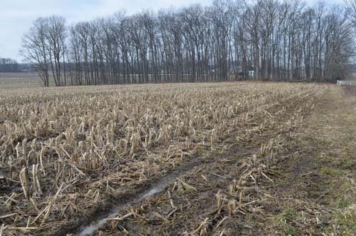 Property photo 23 - 98+/- Acres Offered in 6 Tracts or Combinations, Noble County, Indiana Farm